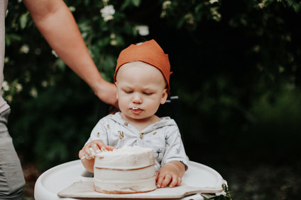 Wild One first birthday party