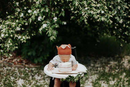 Wild One first birthday party