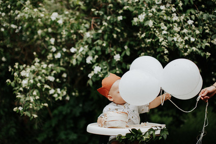 Wild One first birthday party