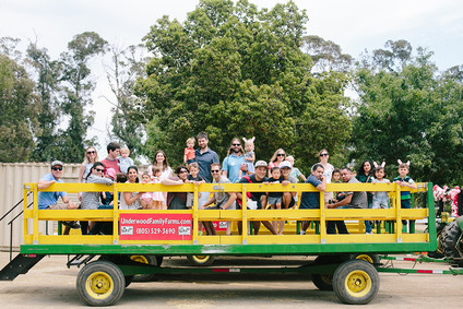 Olivia the Pig second birthday party