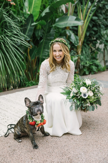 French bulldog ring bearer