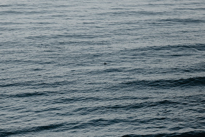 Intimate Big Sur wedding