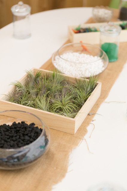 Modern prehistoric dinosaur 4th birthday