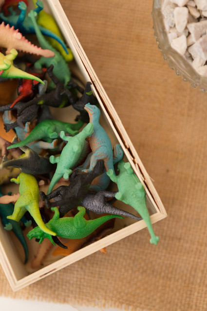 Modern prehistoric dinosaur 4th birthday