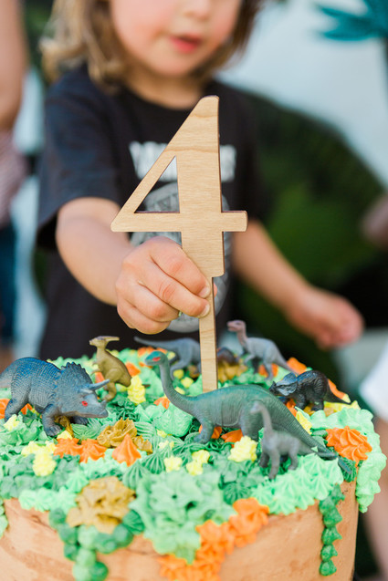 Modern prehistoric dinosaur 4th birthday