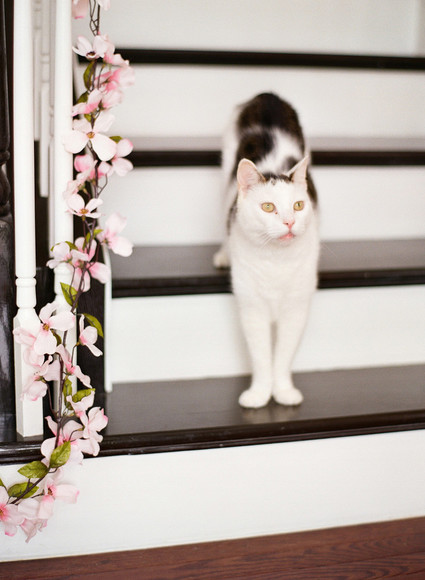 Southern Belle first birthday party