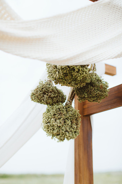 hanging dried oregano bunches