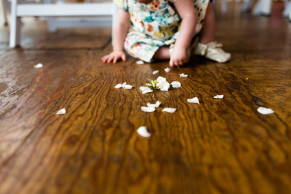 wildflower 1st birthday