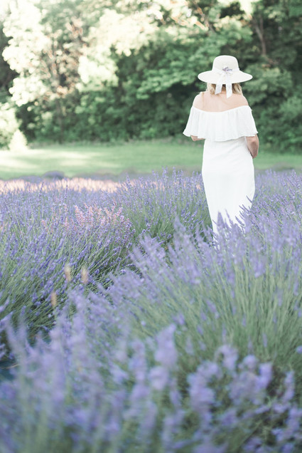 Lavender field maternity photos