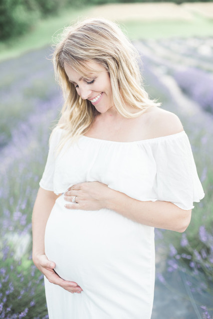 Lavender field maternity photos