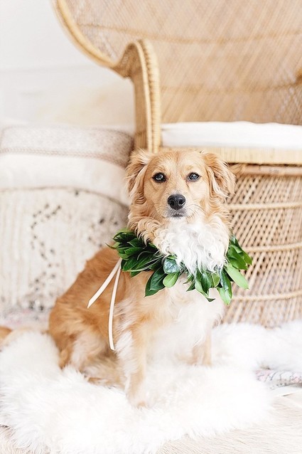 Styled Mommy & Me portraits