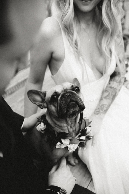 rock and roll backyard wedding