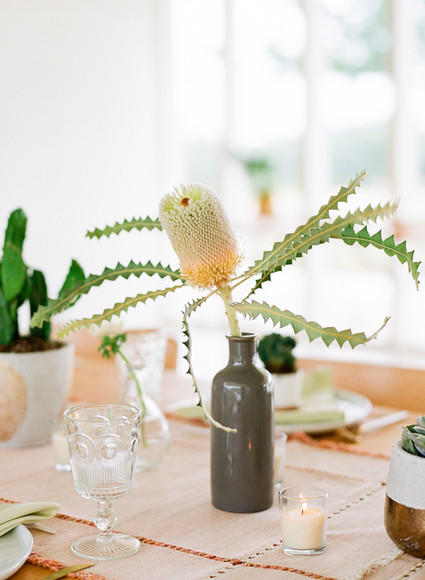 Cactus baby shower