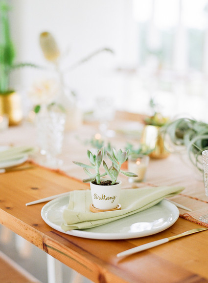 Cactus baby shower