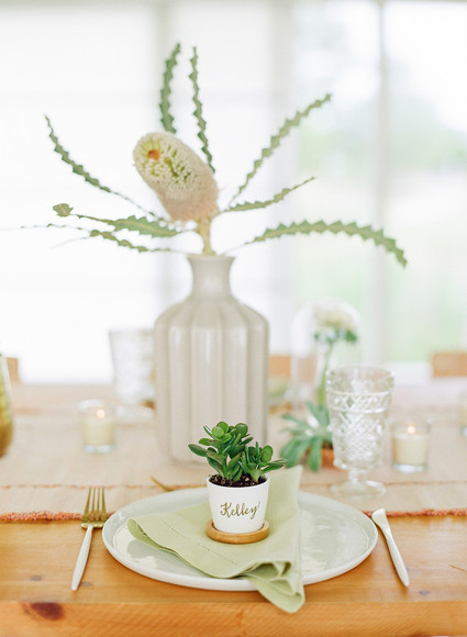 Cactus baby shower