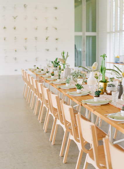 Cactus baby shower