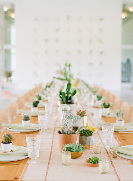 Cactus baby shower