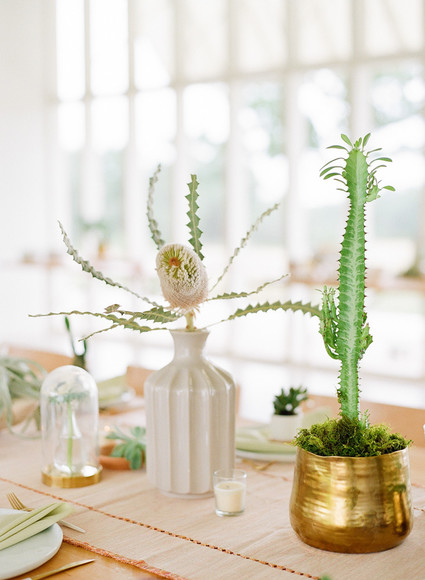 Cactus baby shower