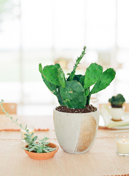 Cactus baby shower