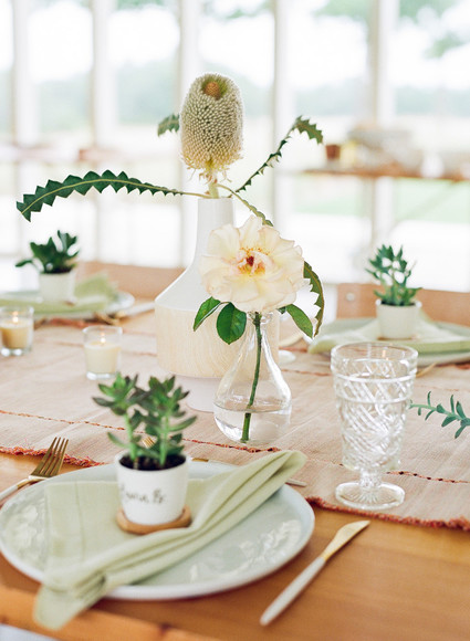 Cactus baby shower