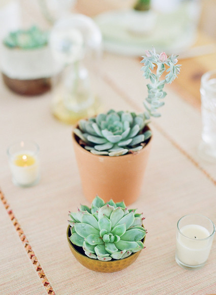 Cactus baby shower