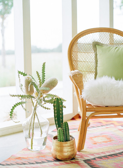 Cactus baby shower