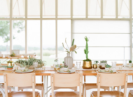 Cactus baby shower