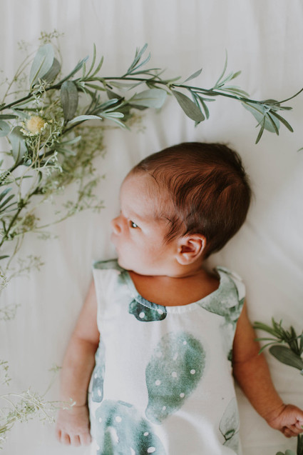 Cactus inspired nursery and newborn photos