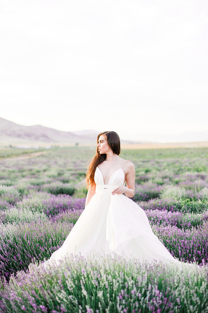 lavender field wedding editorial