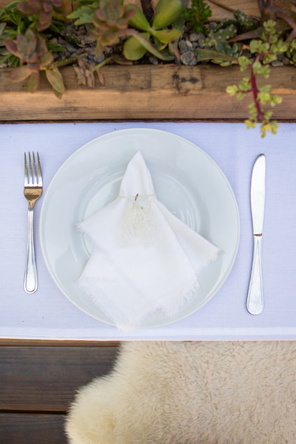 Llama mama baby shower