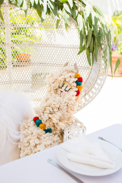 Llama mama baby shower