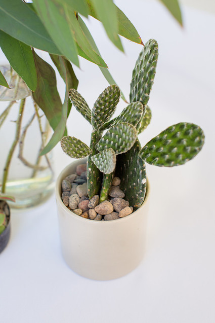 Llama mama baby shower