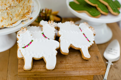 Llama mama baby shower