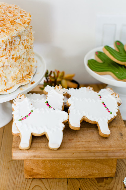 Llama mama baby shower