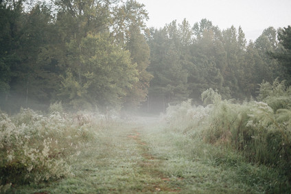 McDaniel Farm Park family newborn photos