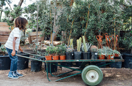 fall kids party ideas