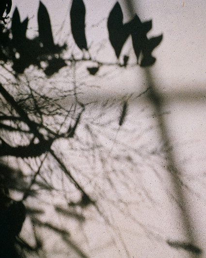 Late summer baby shower inspiration