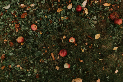 Moody fall barn wedding in Maine