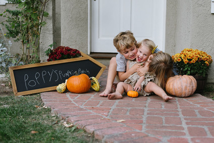 Pumpkin patch second birthday