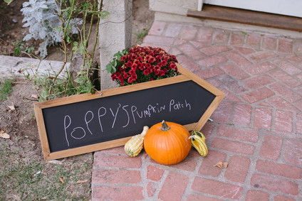 Pumpkin patch second birthday