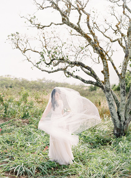 Vintage botanical wedding at Puakea Ranch in Hawaii