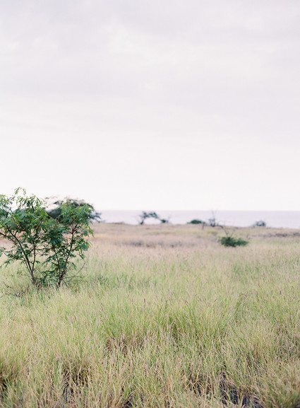 Vintage botanical wedding at Puakea Ranch in Hawaii