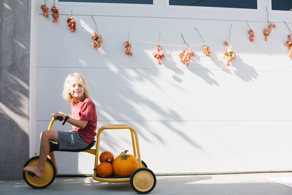 Feminine fall Moon themed 1st birthday party on 100 Layer Cakelet