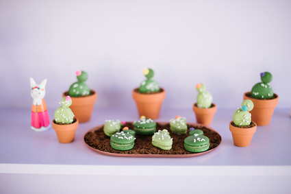 Cactus macarons