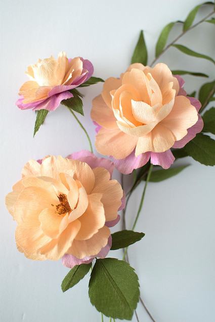 paper roses