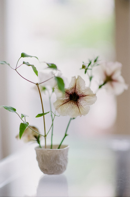 Guide to getting married in Paris on 100 Layer Cake