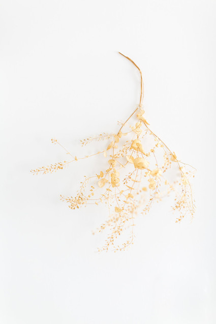 Louella's pastel nature-inspired girl's nursery