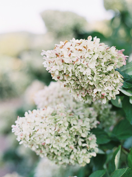 spring floral wedding inspiration