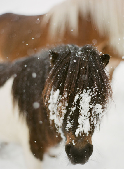 Salzburg Austria in Winter on 100 Layer Cake