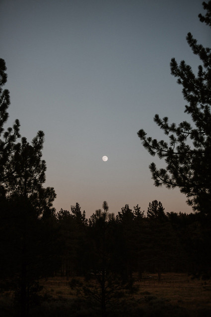 Intimate fall camp wedding at Mount Laguna in San Diego